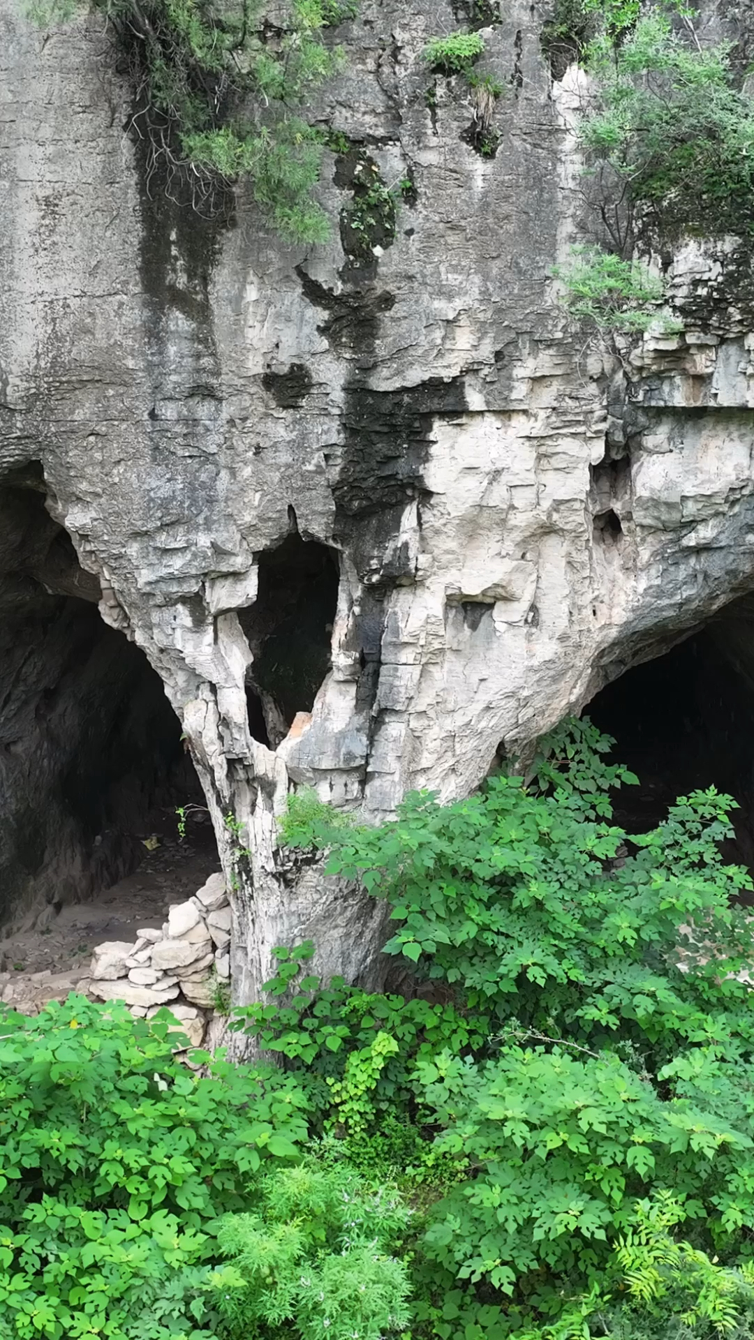 金年会亚洲首选-关于	洞Du?鼻&amp;?{胧梿匟>z的信息